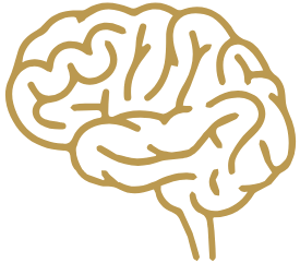 Brain Boost